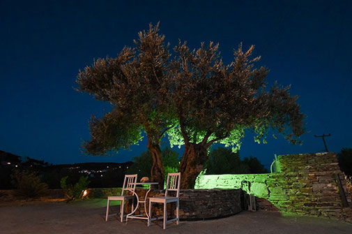 The garden of Blue Fish in Sifnos