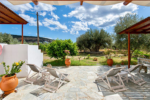 Le jardin des Blue fish à Sifnos